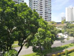 Blk 523 Ang Mo Kio Avenue 5 (Ang Mo Kio), HDB 4 Rooms #139190262